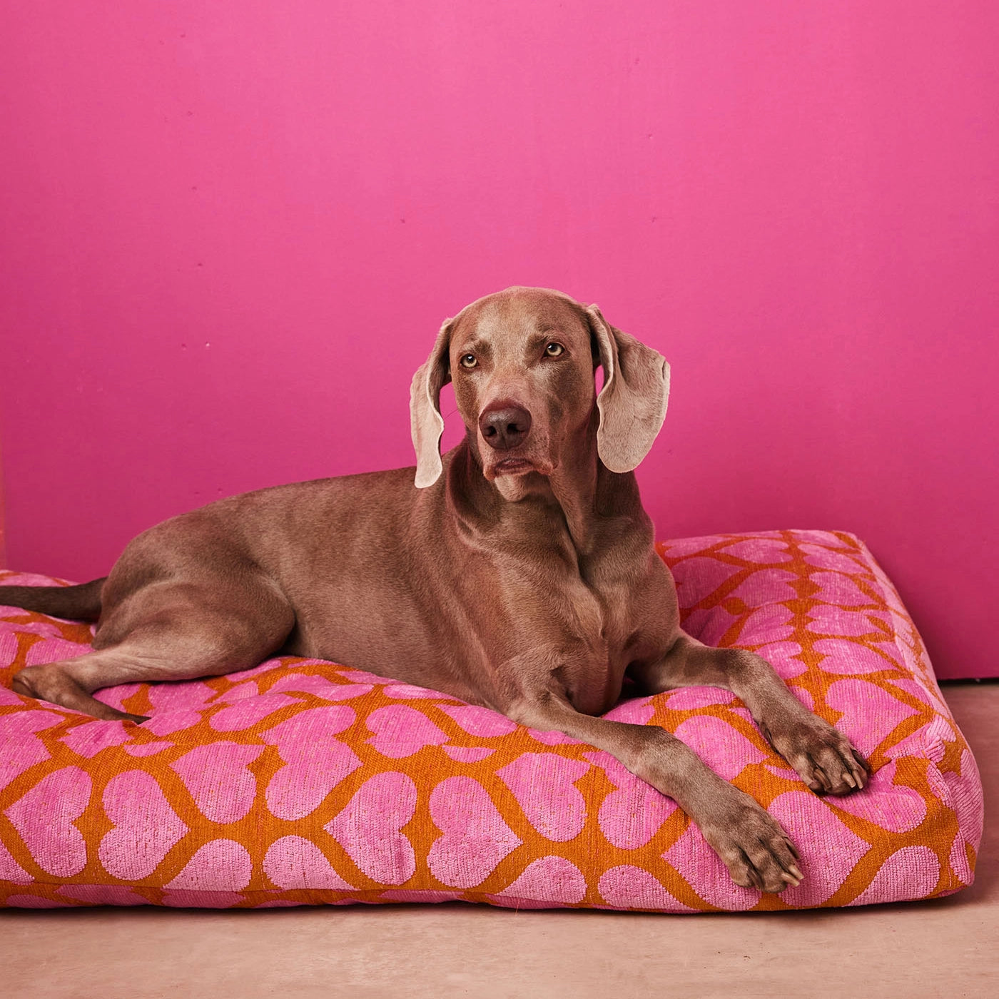 Herz Hundebett - Orange/Pink