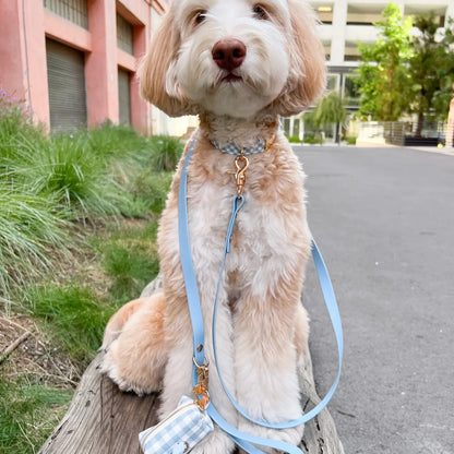 Wasserdichtes Hundehalsband - Malibu Blue Gingham