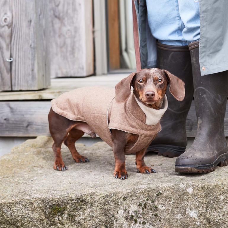 Cloud7 Brooklyn Flanell-Mantel DACHSHUND - Haselnuss