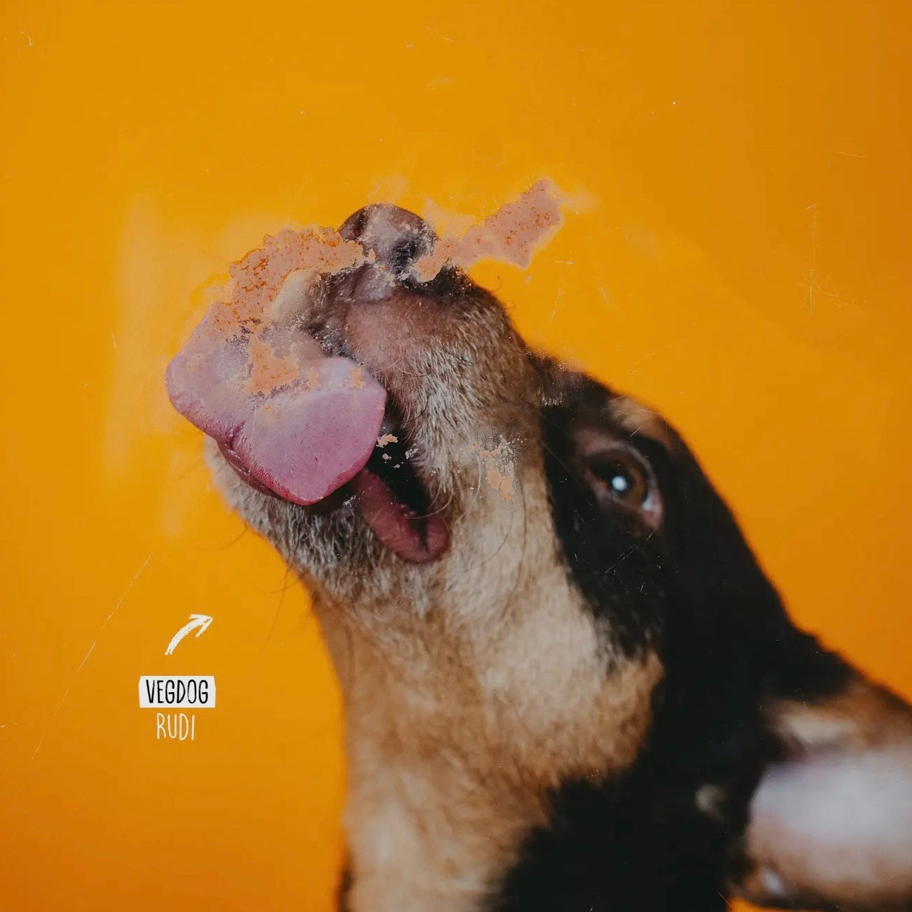 VEGDOG - Liver Sausage