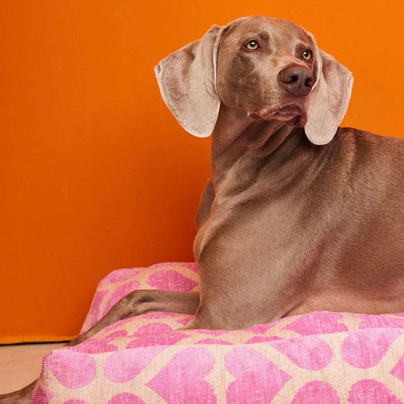 Heart Dog Bed - Beige/Pink