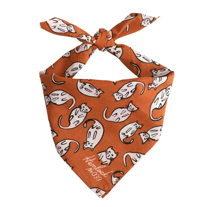 Kätzchen Bandana