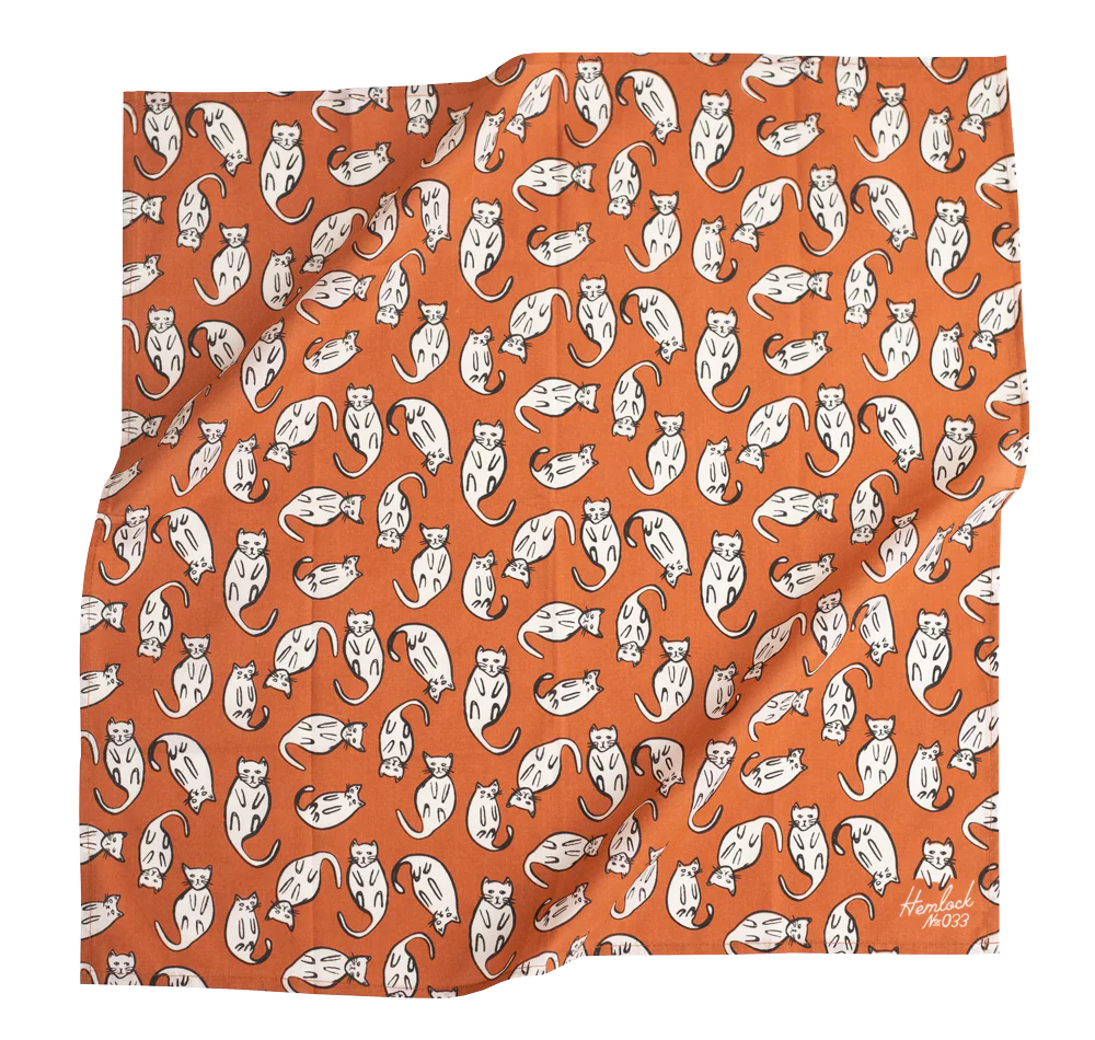 Kätzchen Bandana