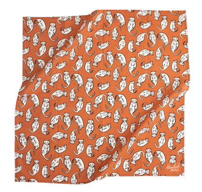 Kätzchen Bandana