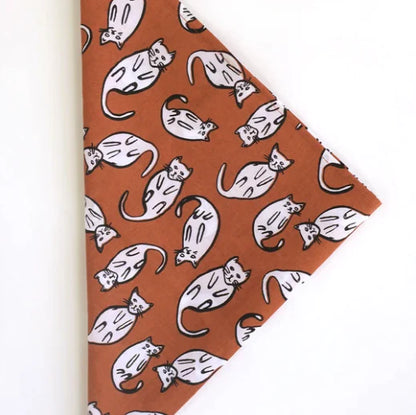 Kätzchen Bandana