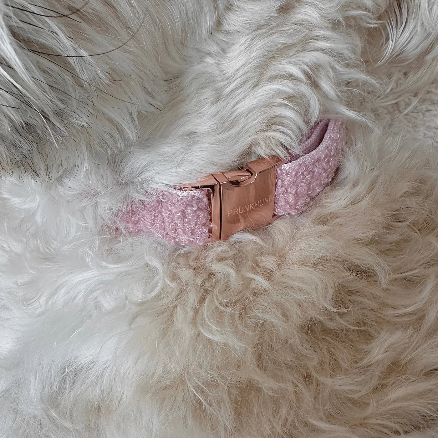 Halsband Teddy - Blush