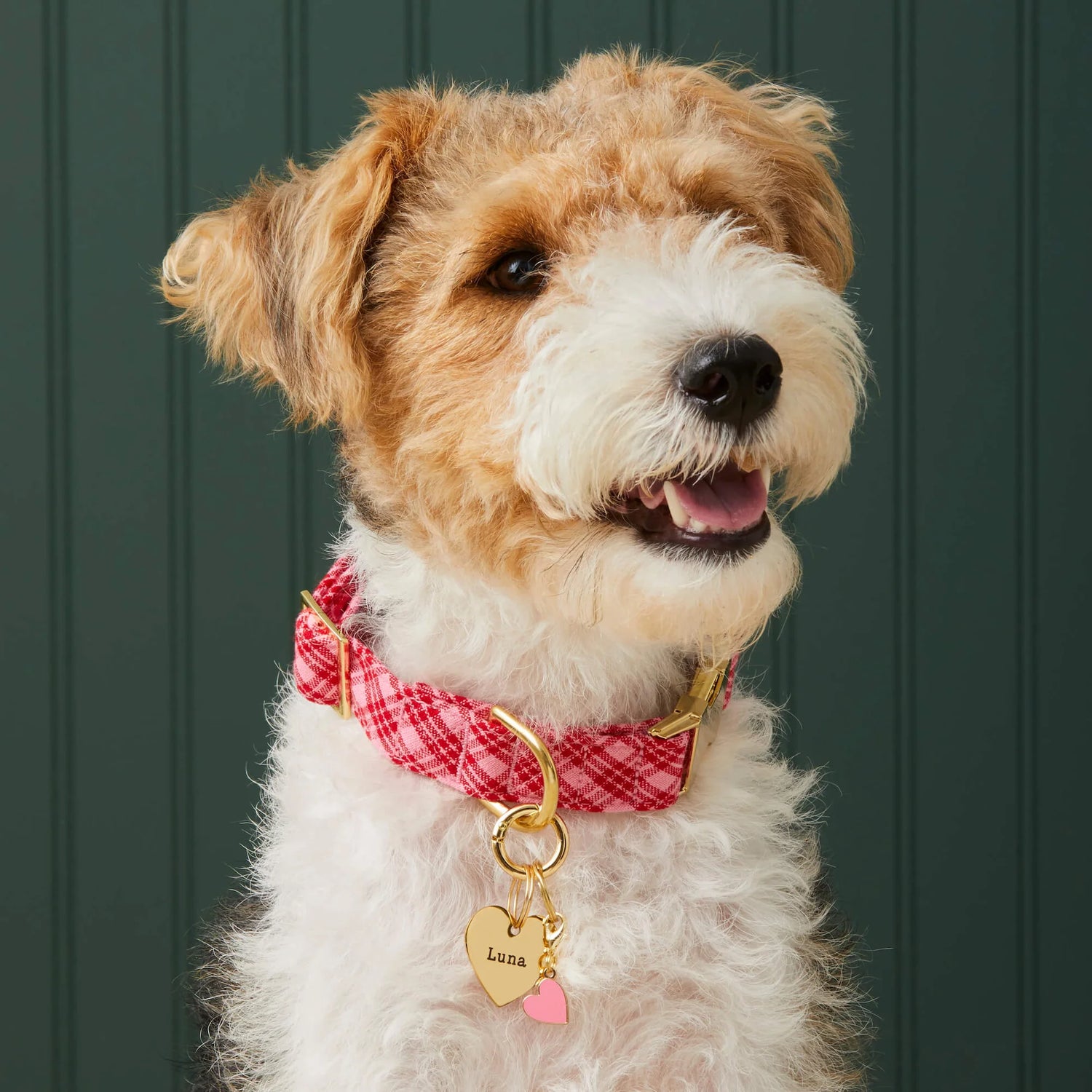 Heather Taylor Home x TFD Katherine Plaid Valentine Dog Collar