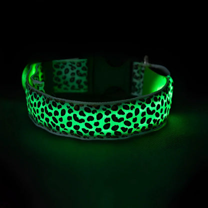 LED Dog Collar - Green