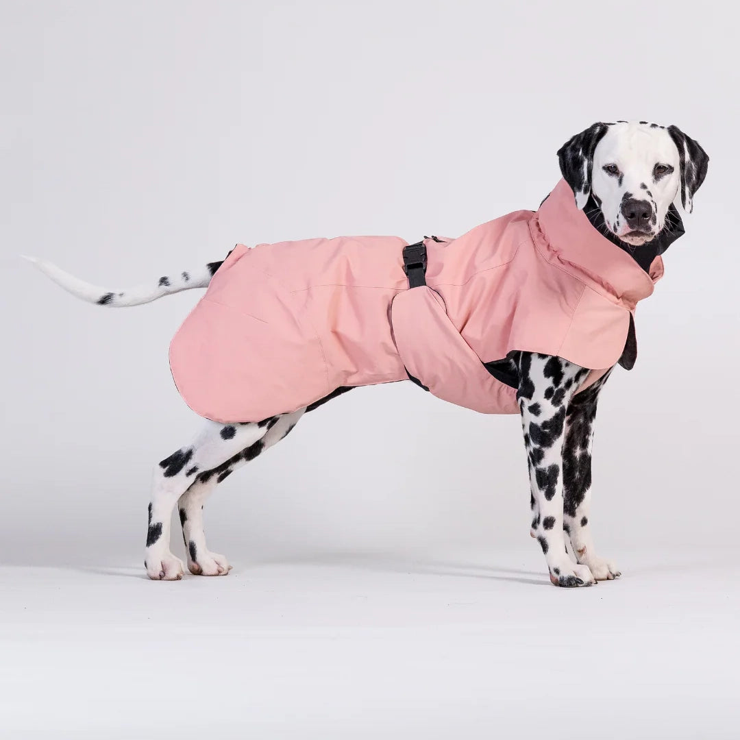 Visibility Winter Jacket - Rose