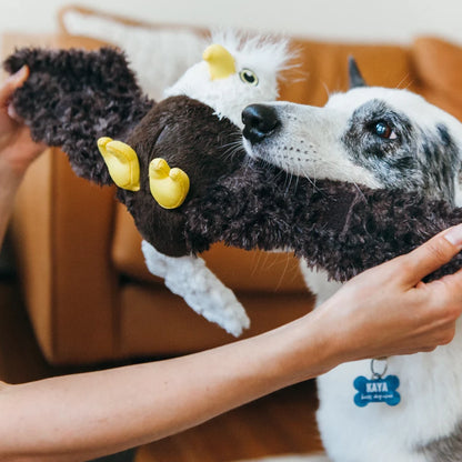 Edgar the Eagle