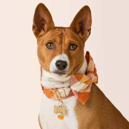 Pumpkin Spice Plaid Flannel Bow Tie Collar