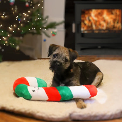 Candy Cane Plush Rope