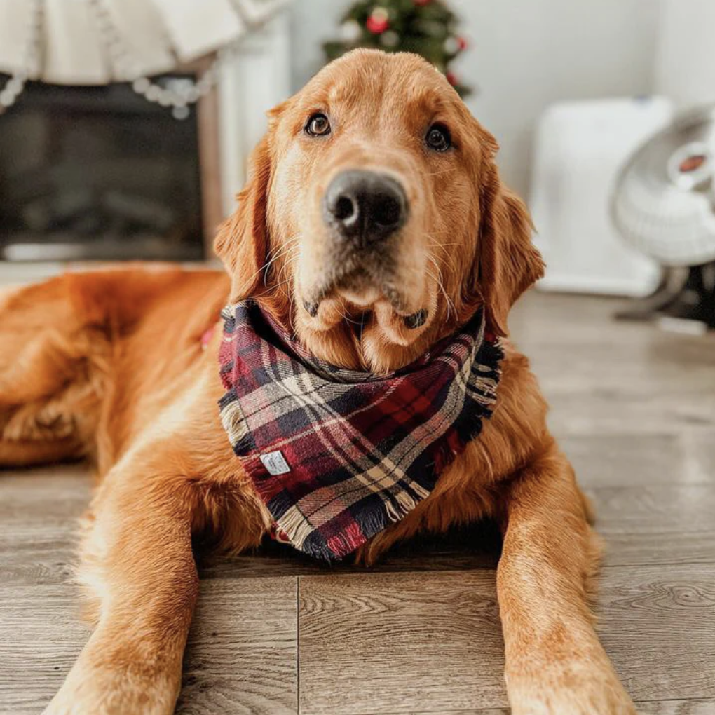 Winterberry Plaid Flannel Frayed Bandana