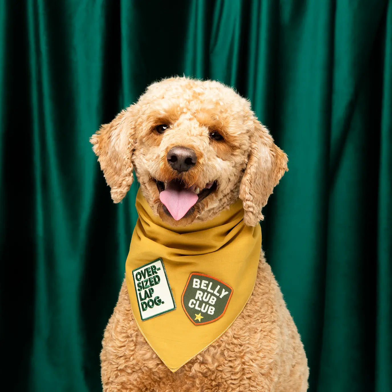 Belly Rub Club Badge