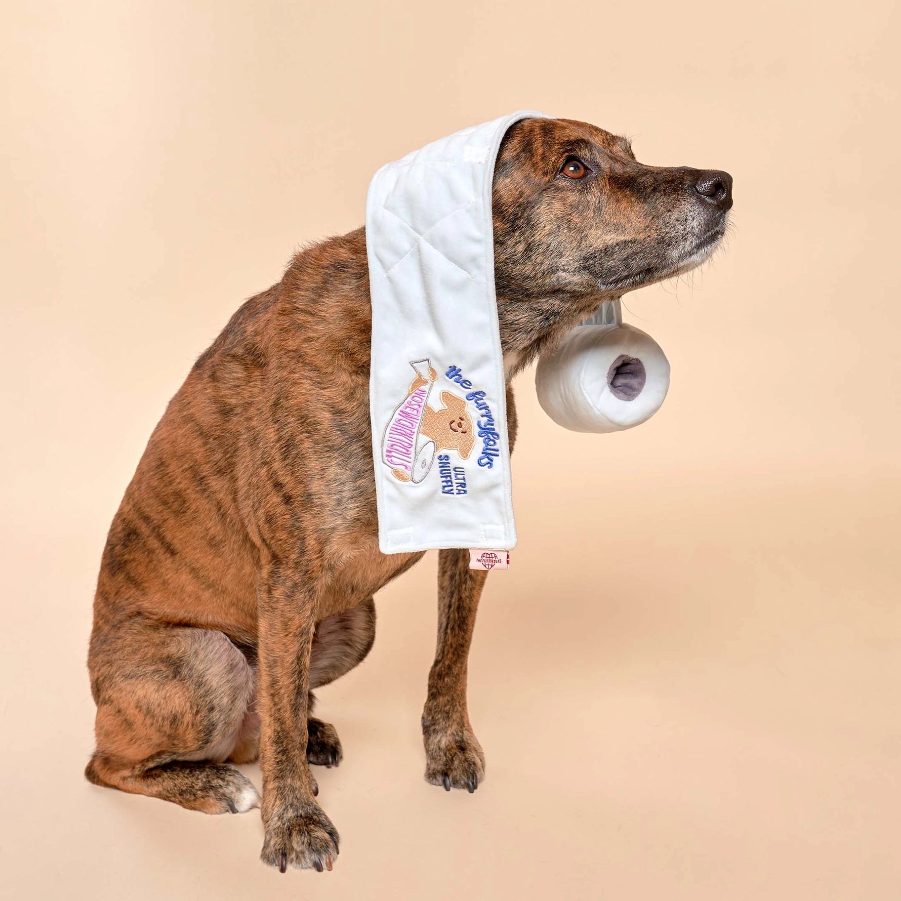 Toilet Paper Nosework Toy