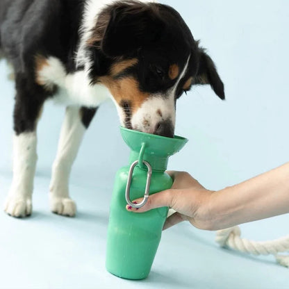 Reise-Wasserflasche - Springer Grün