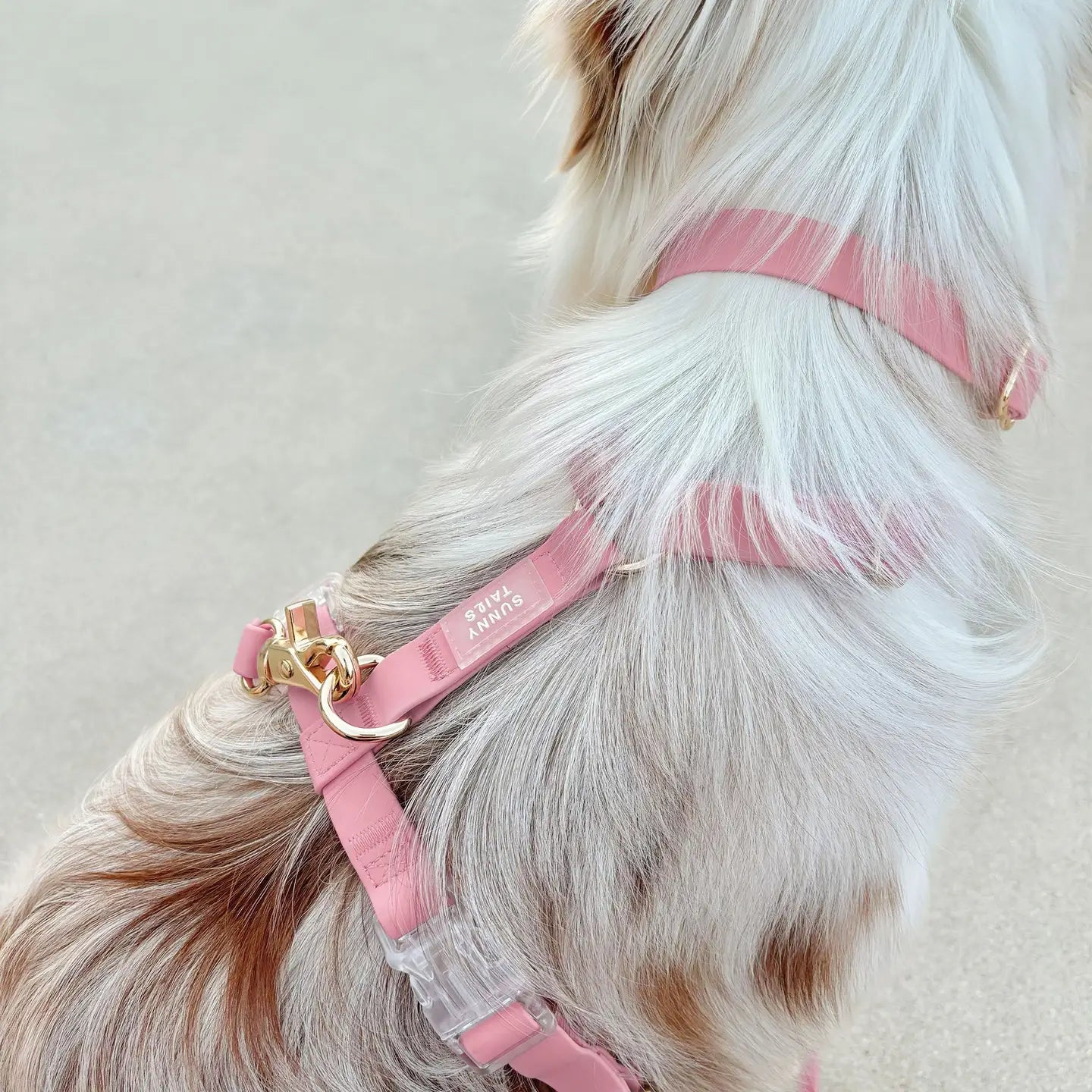 Waterproof Dog Collar - Perfect Pink