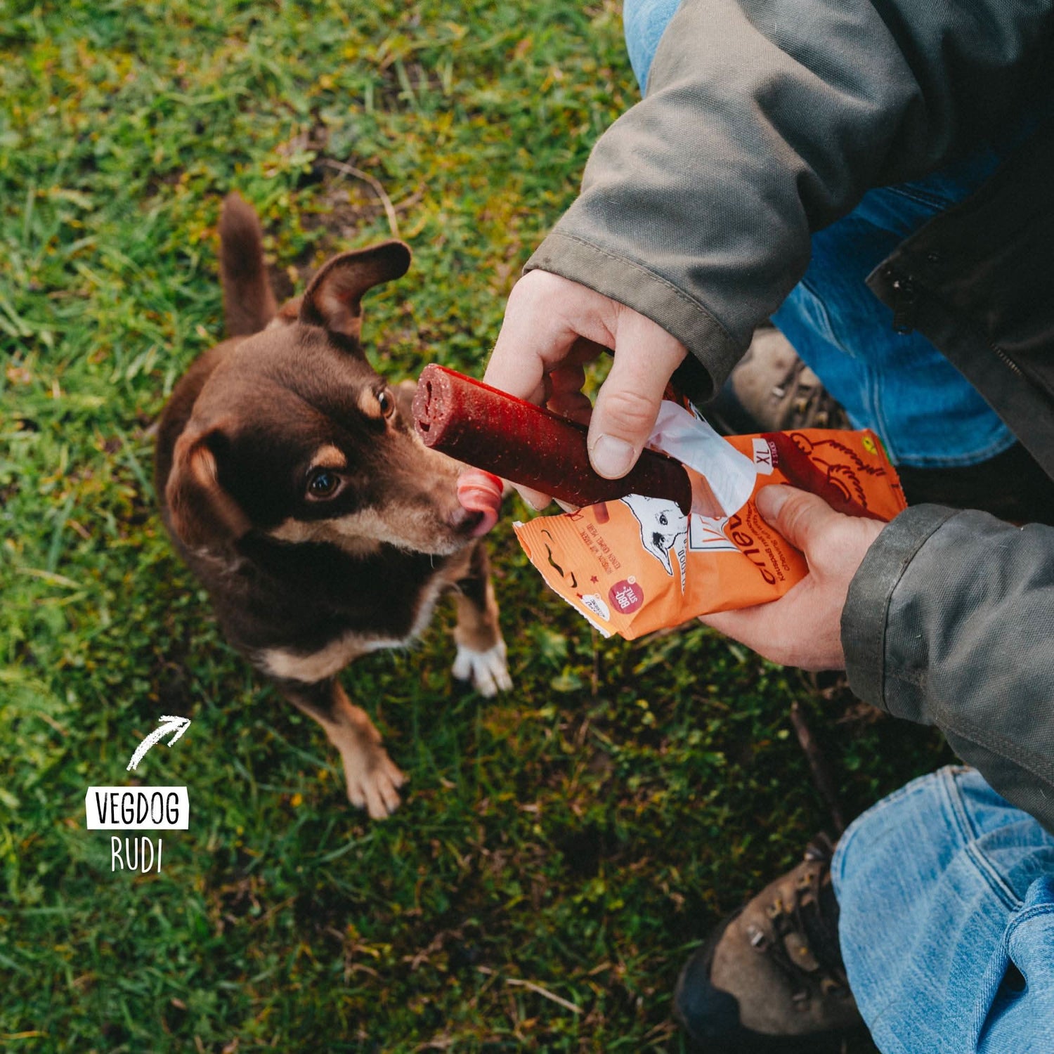 VEGDOG - Chevvies Xl