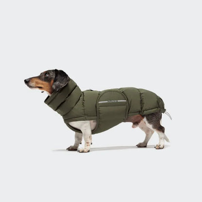 Cloud7 Wintermantel Alaska DACHSHUND - Olive