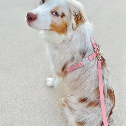 Waterproof Dog Harness - Perfect Pink