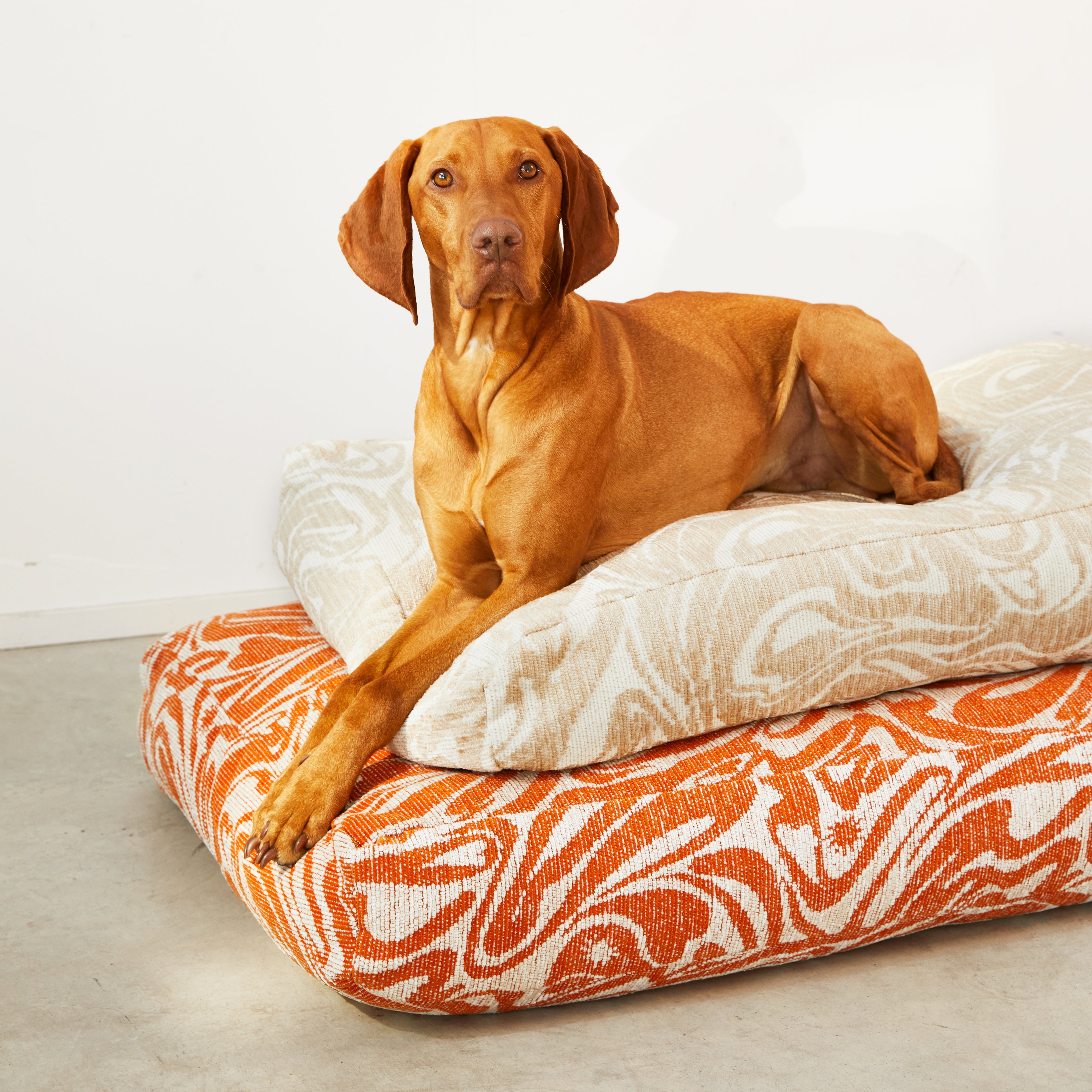 Hundebett Swirl - Orange/Beige