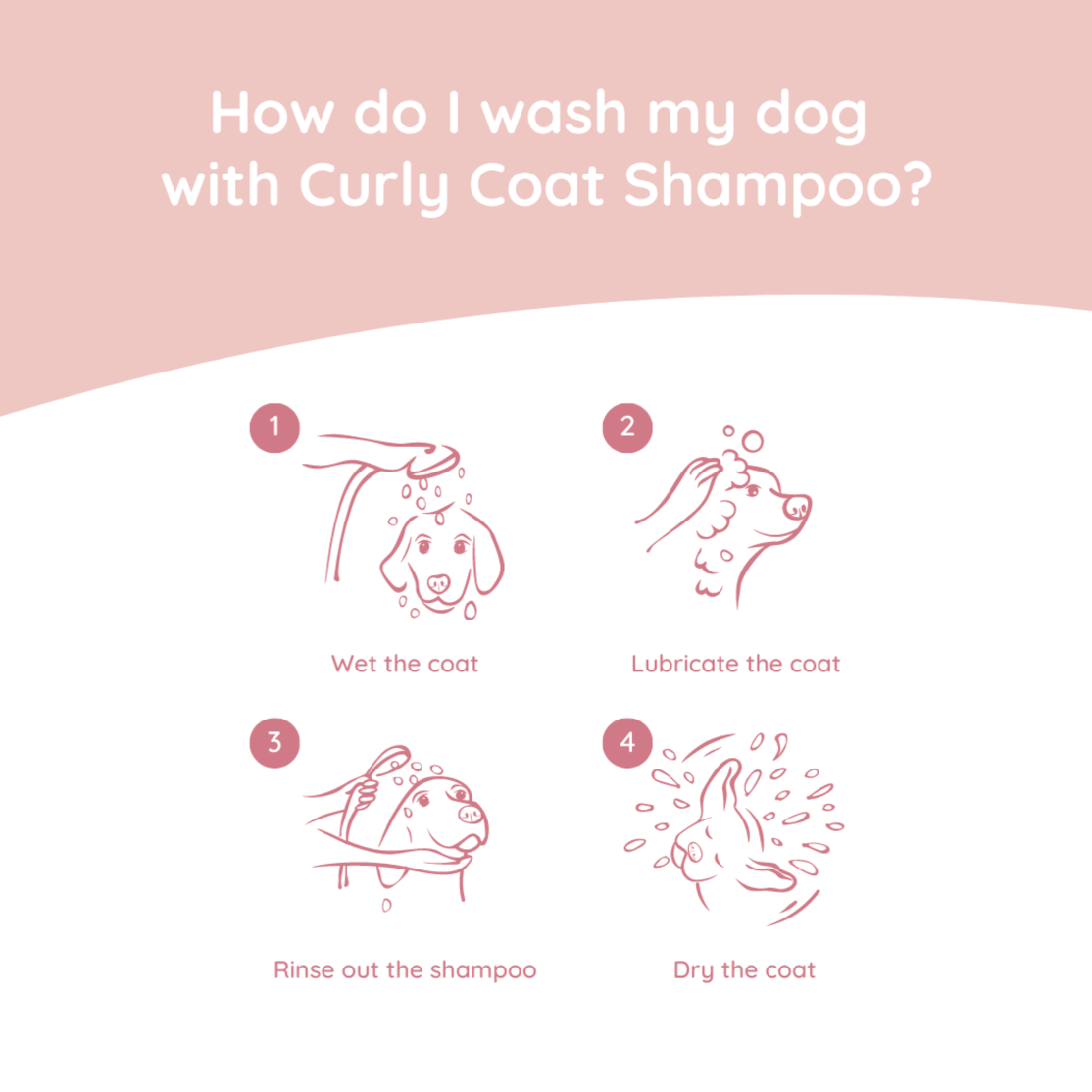 Labradoodle Care Set | Curly Coat