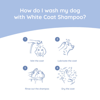 Maltese Care Set | White Coat