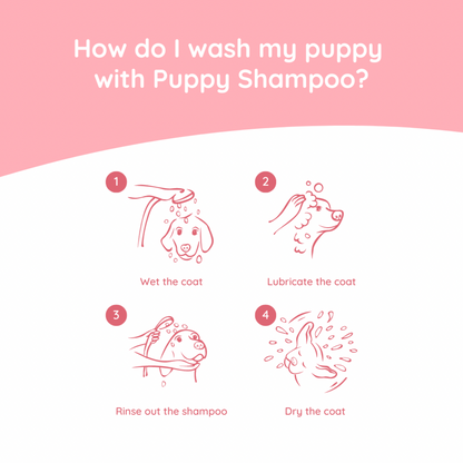 Puppy Care Set