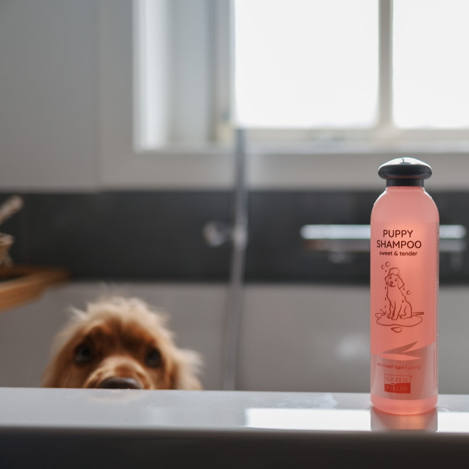 Puppy Care Set
