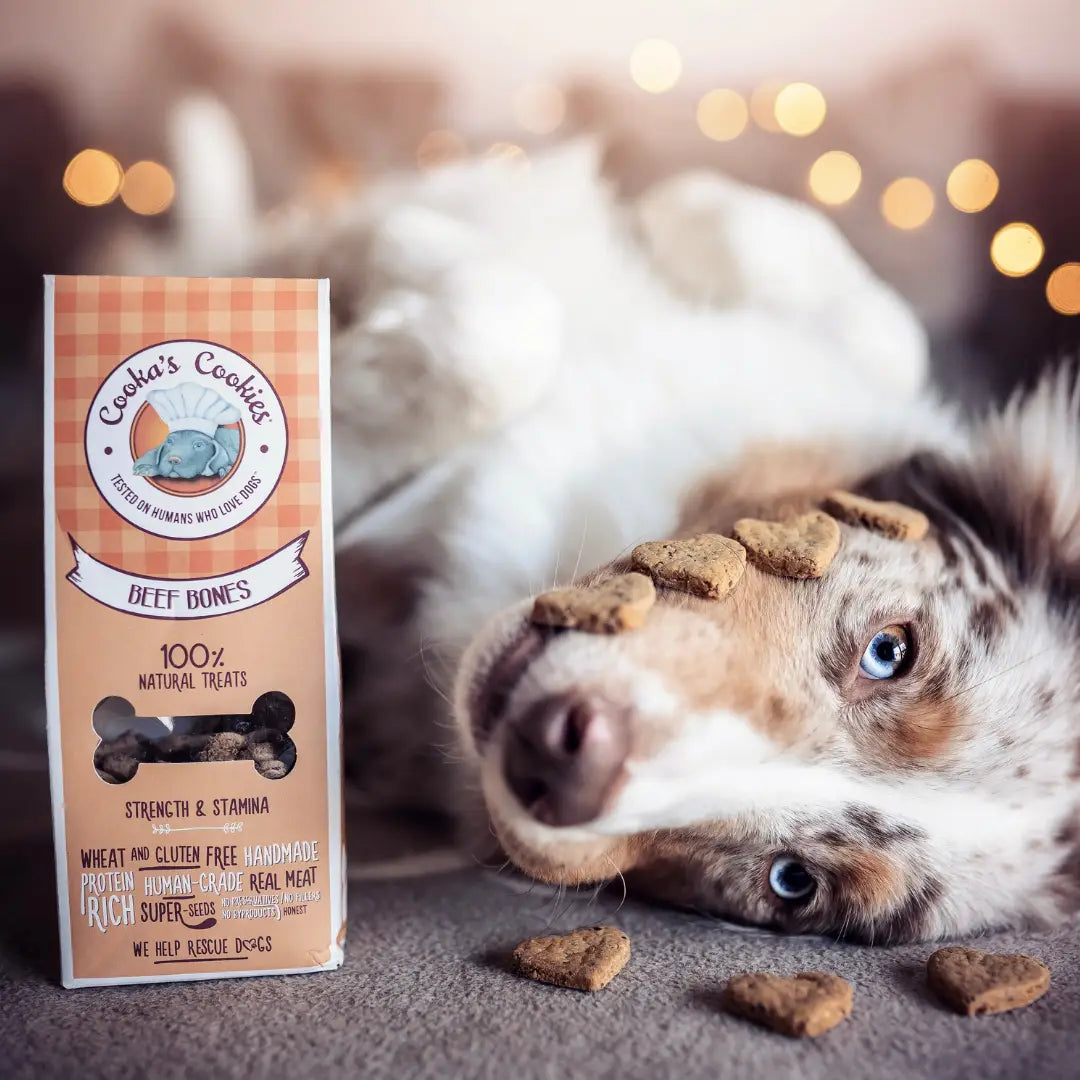 Beef Bones | Natural Dog Treats