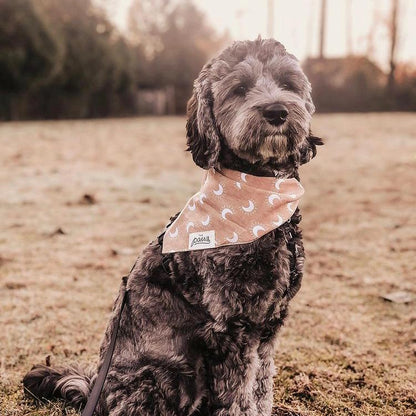 Dämmerung Bandana