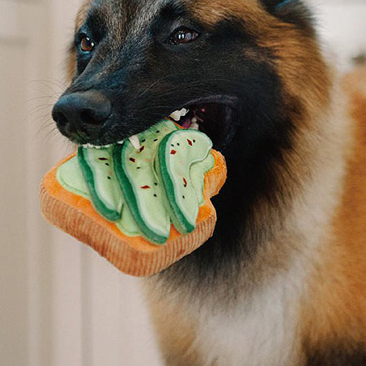 Avo-Doggo-Toast