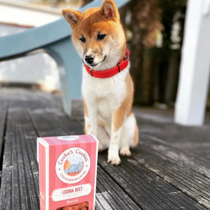 Lisboa Beet | Natural Dog Treats with Superfoods