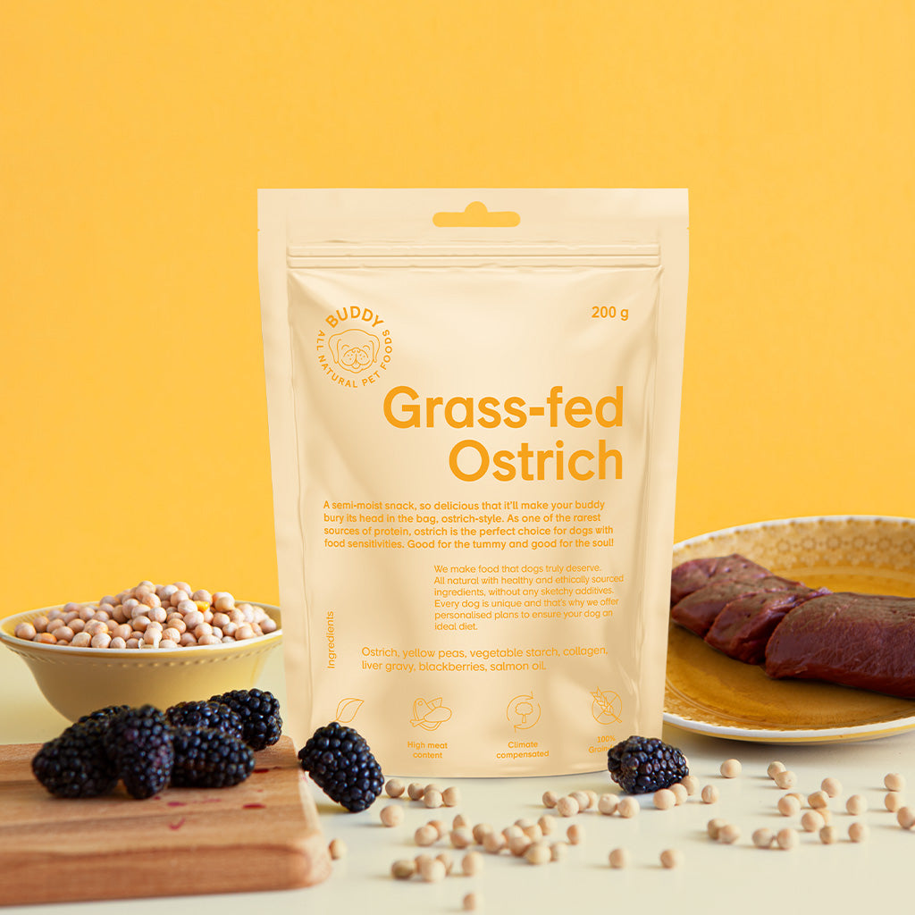 Halbfeuchter Snack Strauß mit Brombeeren