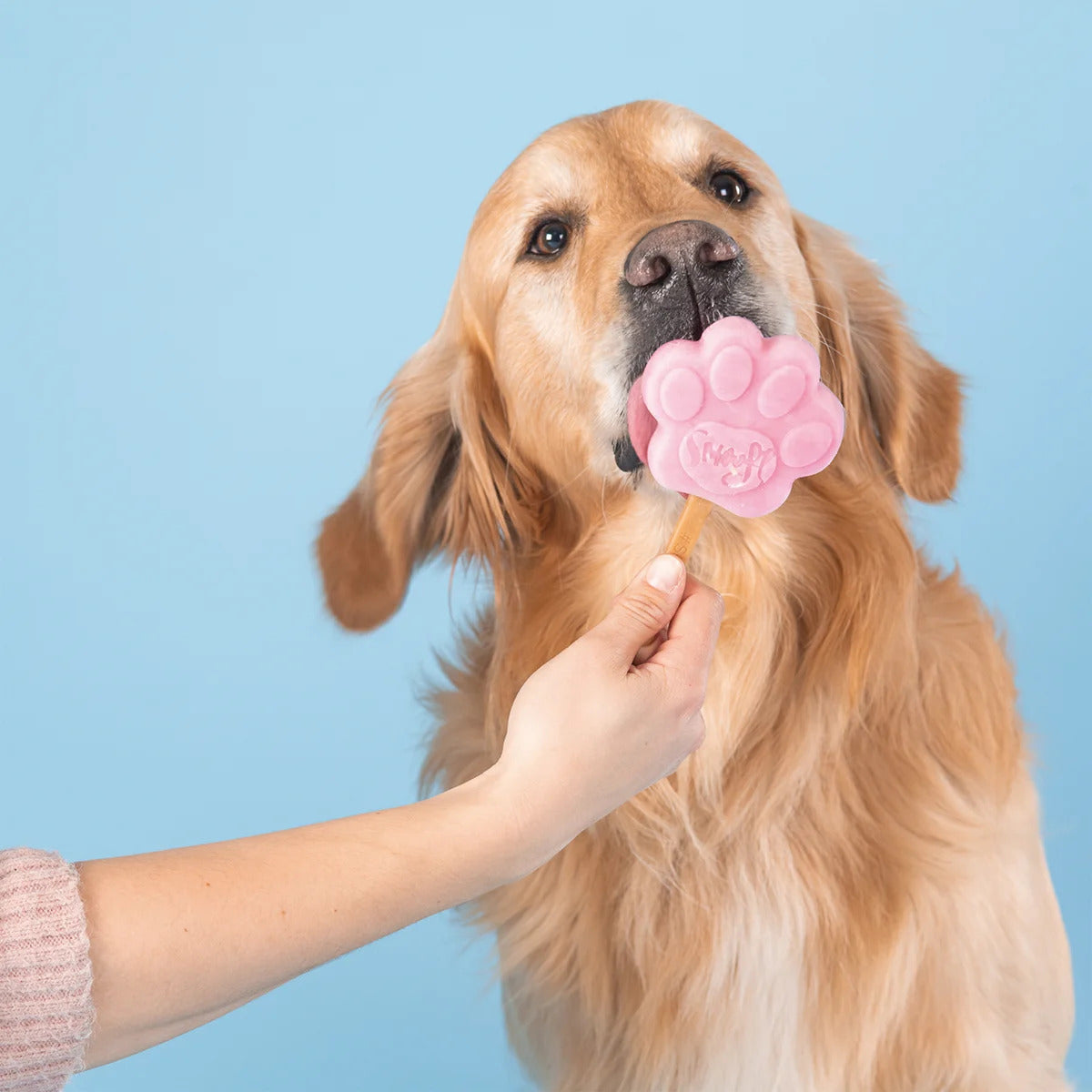 Eiscreme-Mix für Hunde - Erdbeere