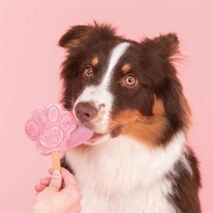 Eiscreme-Mix für Hunde - Wassermelone