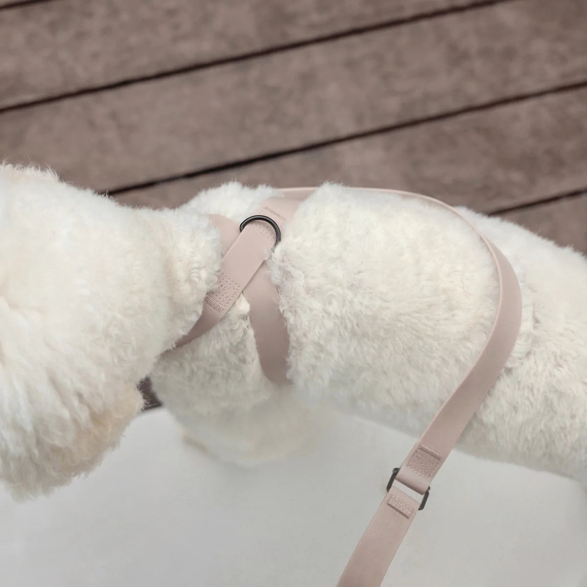 Otto Waterproof Harness