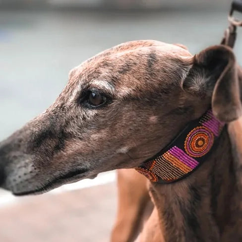 Perlen Lurcher - Framboise