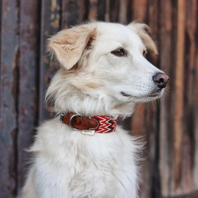 Peruanisches Rotes Halsband