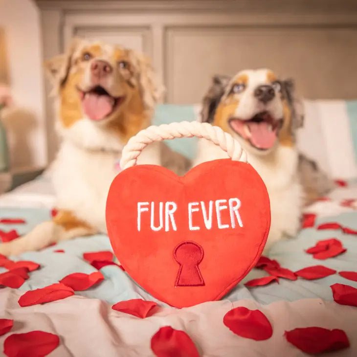 Fur Ever Lock Heart