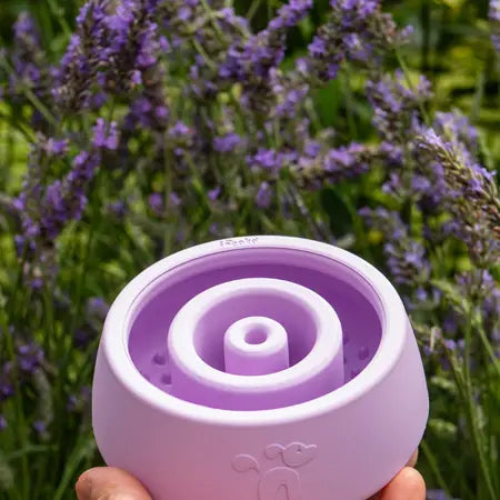 Yoomy Wobble Enrichment Toy | Lavender