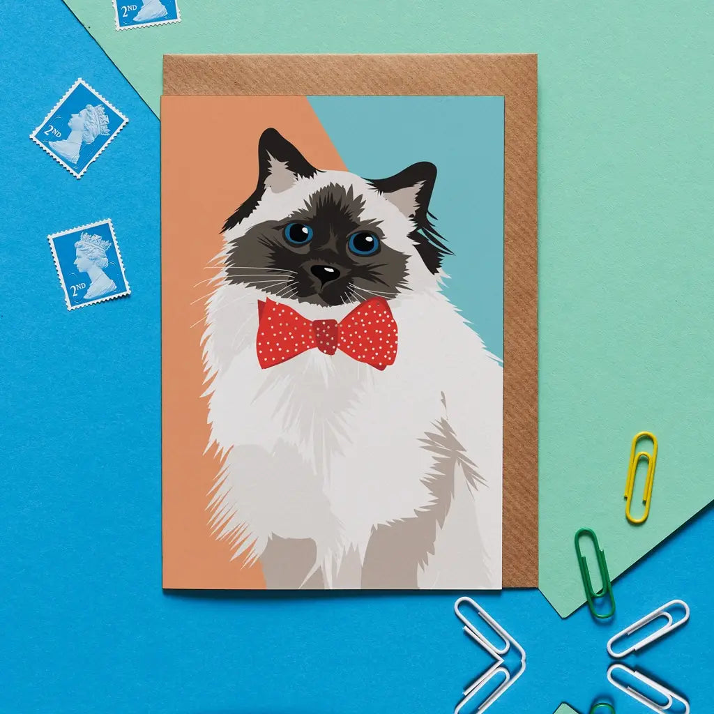 Meg the Cat Fluffy Cat Card