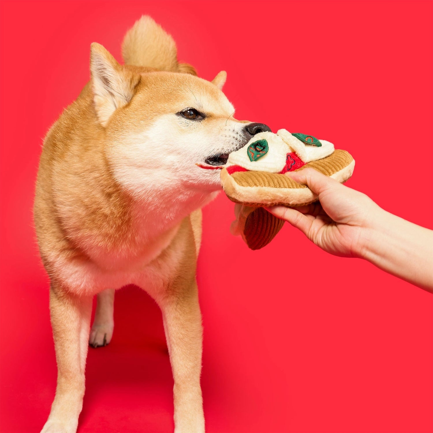 Pizza Nosework Toy