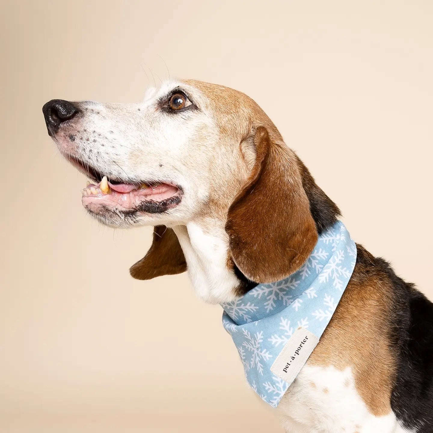 Frozen Winter Bandana