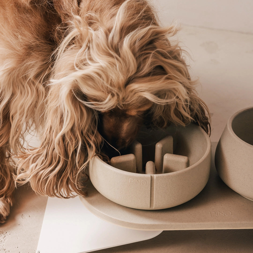 Slow Feeder Bowl - Owl Greige