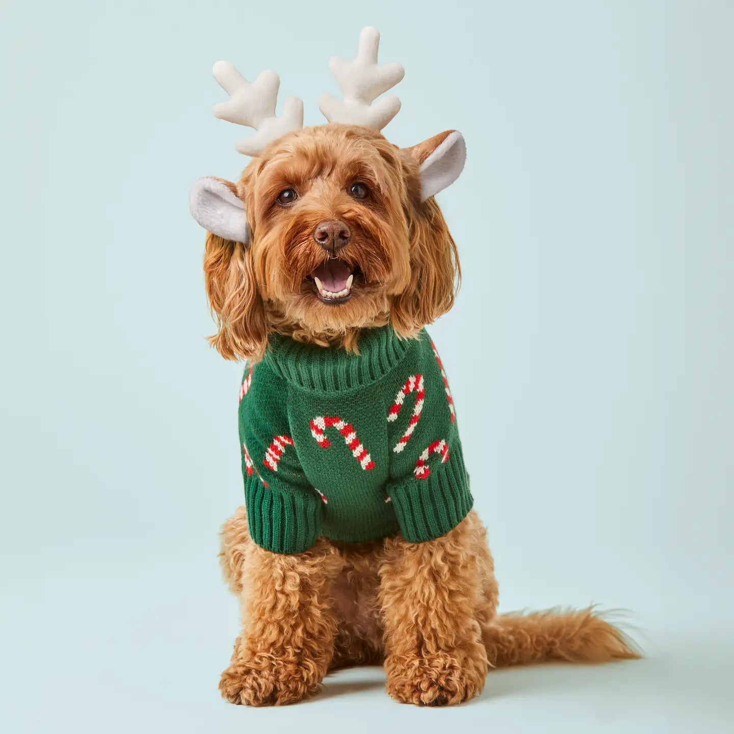 Evergreen Candy Canes Dog Sweater