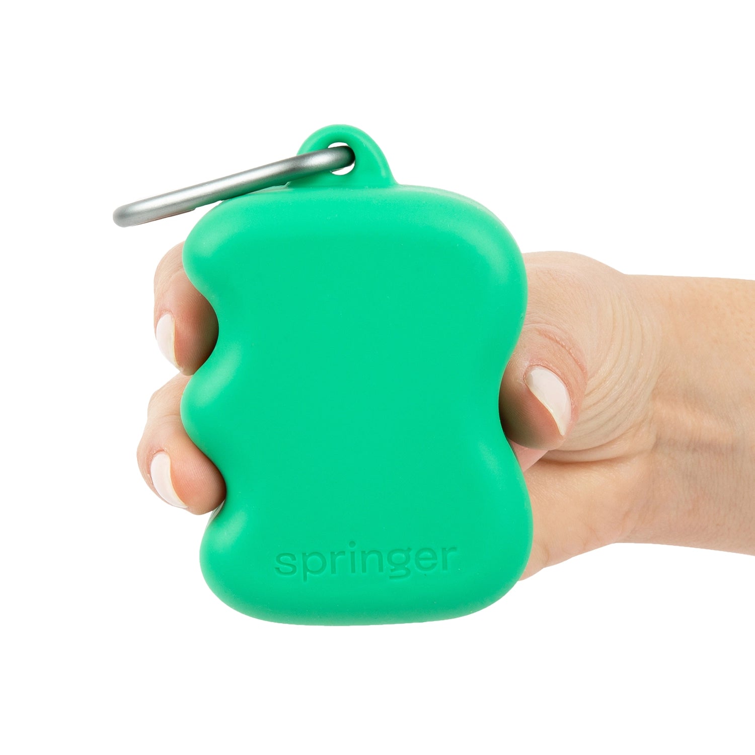 Dispensador de golosinas de silicona para perros - Springer Green