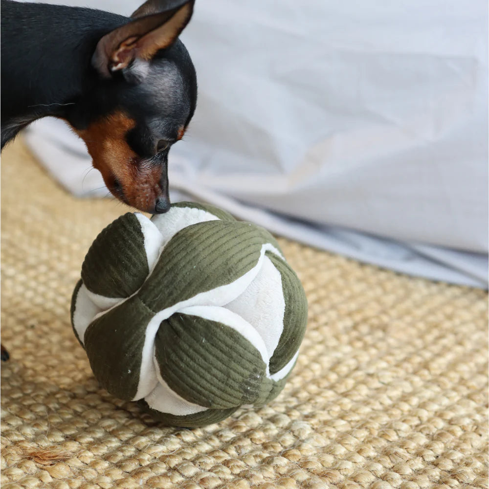 Monti - Pine | Snuffle Ball