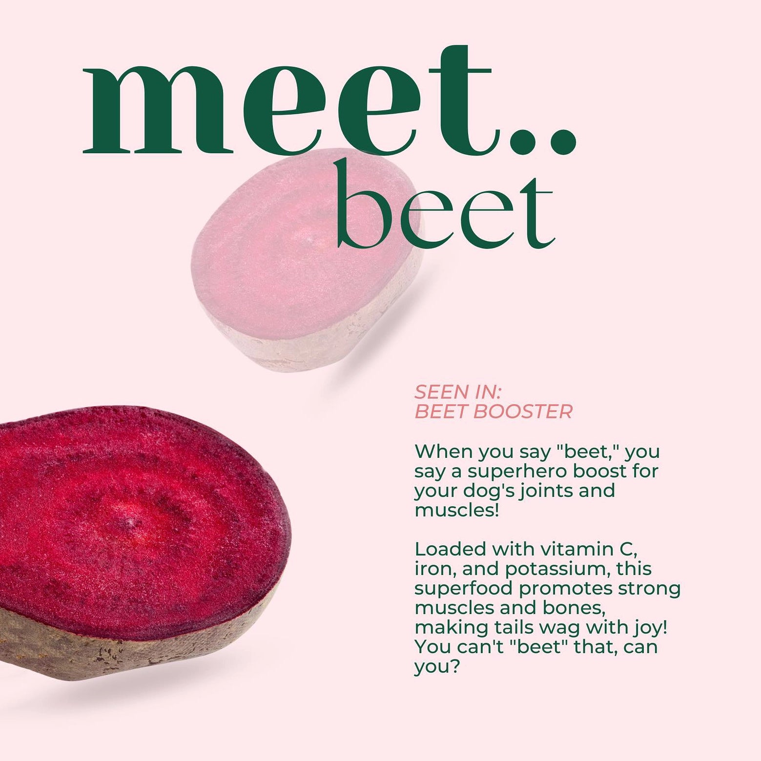 Alimento vegetal para perros - Beet Booster