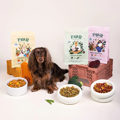 Alimento vegetal para perros - Beet Booster